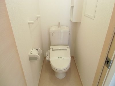 Toilet. The same type photo
