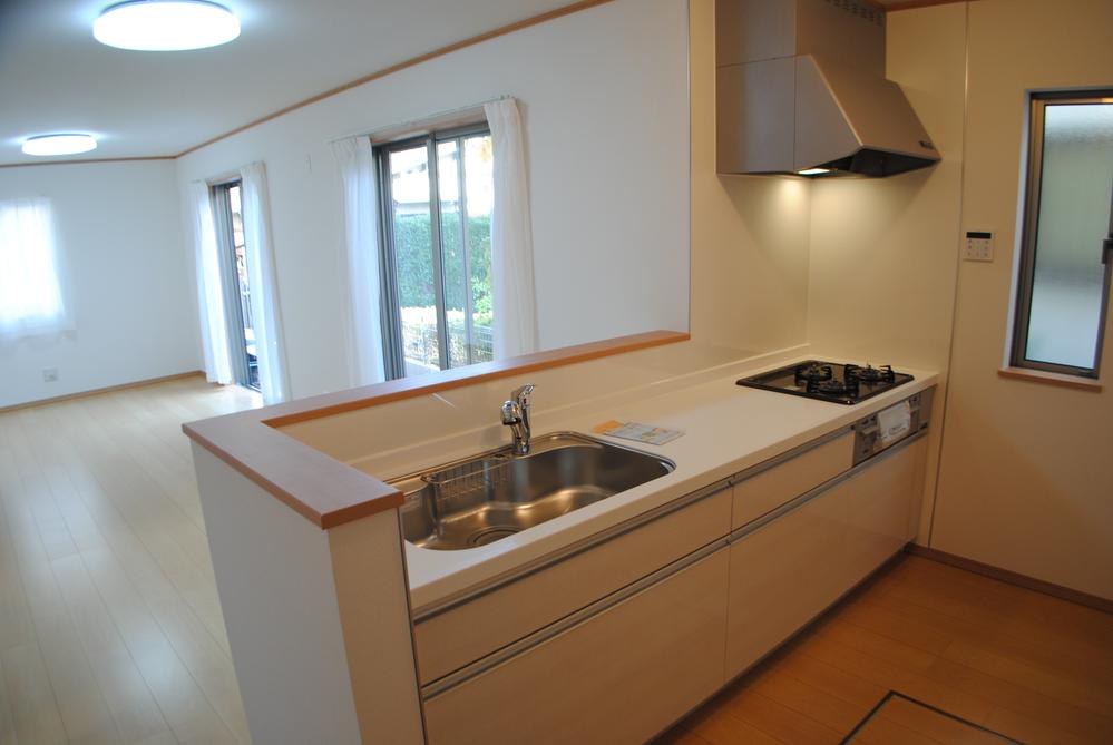 Kitchen. Indoor (12 May 2013) Shooting