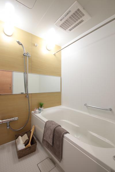 Bathroom. Indoor (10 May 2013) Shooting