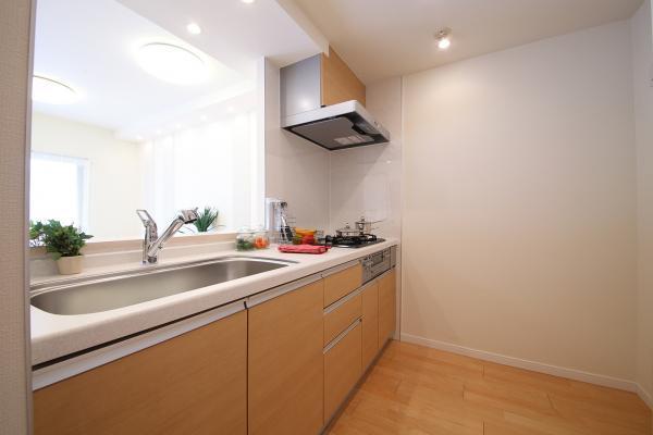 Kitchen. Indoor (10 May 2013) Shooting