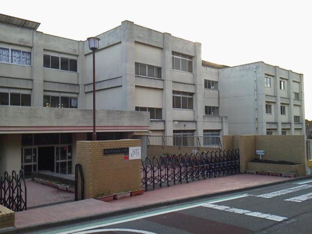 Primary school. Takaya Elementary School