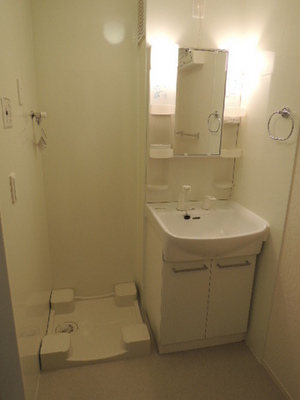 Washroom. Vanity & Laundry Area