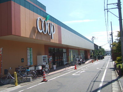 Supermarket. 230m to the Co-op (super)