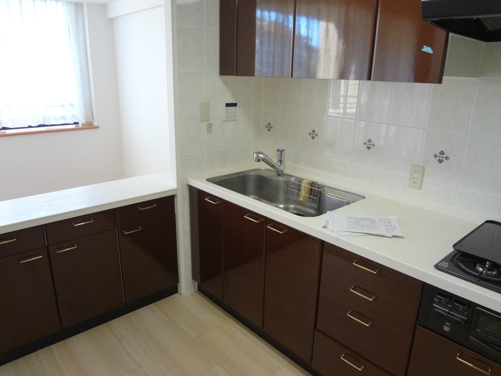 Kitchen. Indoor (11 May 2013) Shooting