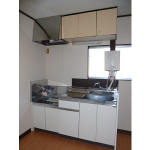 Kitchen. Gas stove is installed type of kitchen