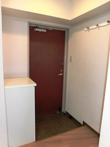 Other room space. It is entrance. There is also a shoe box.