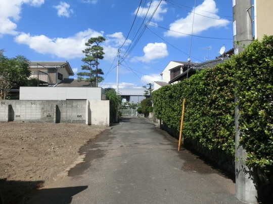Local land photo