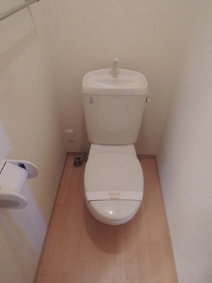 Toilet. Toilet