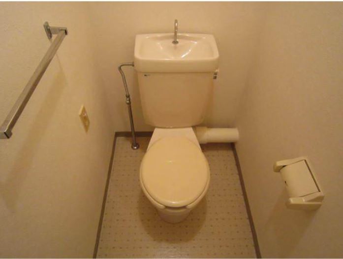 Toilet. It is the restroom.