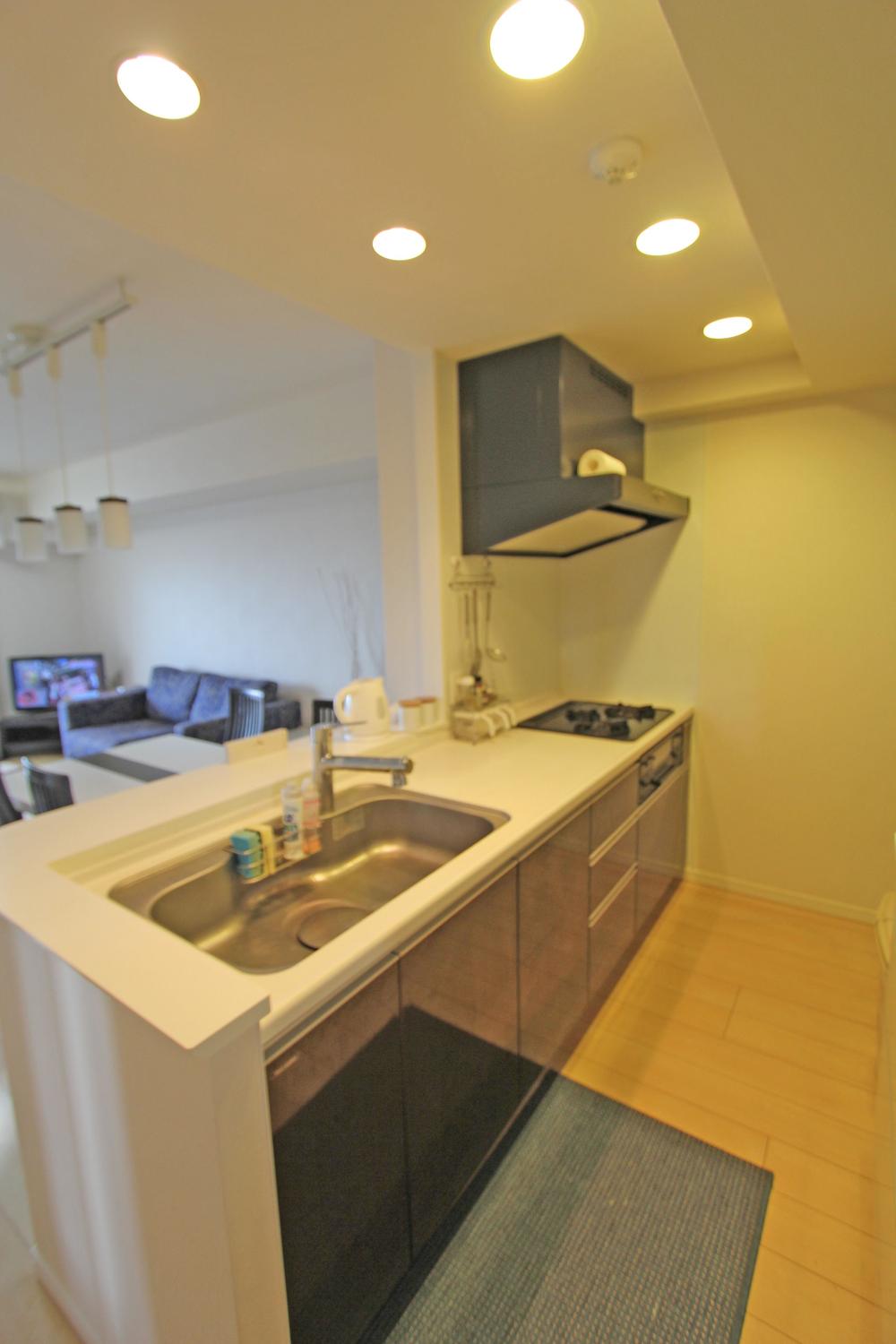 Kitchen. Easy-to-use system Kitchen