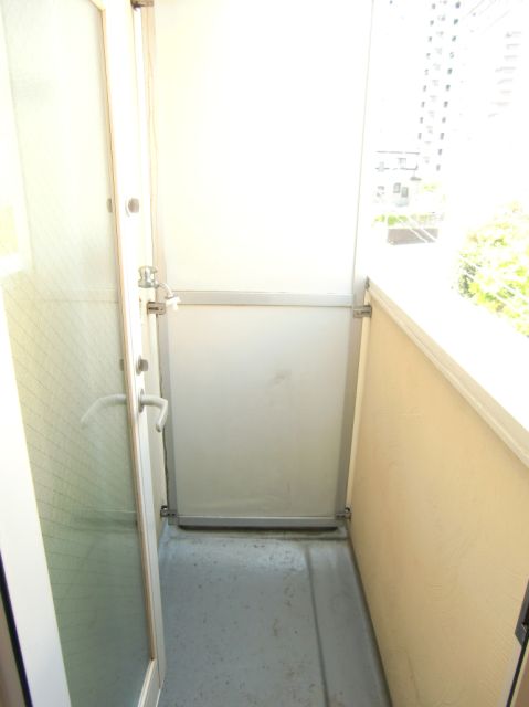 Balcony. It is the Laundry Area