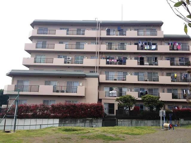 Local appearance photo. Local (August 2013) Shooting