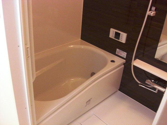 Bathroom. Indoor (10 May 2013) Shooting