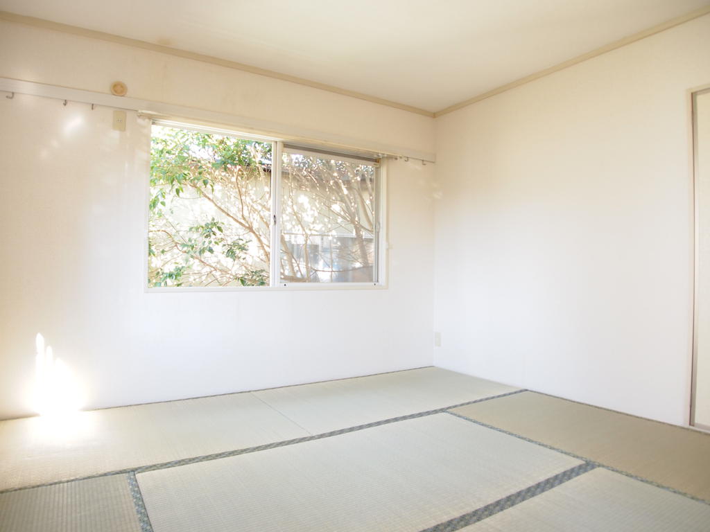 Other room space. Japanese-style room is bright even in the north with two faces lighting! !