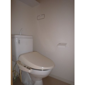 Toilet. It is a toilet with a hot water cleaning function