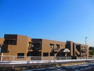 Local appearance photo. Local (11 May 2013) Shooting