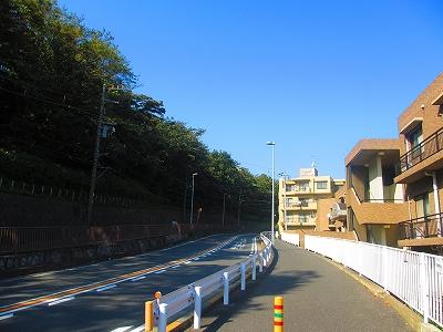 Other. The entire surface of the road