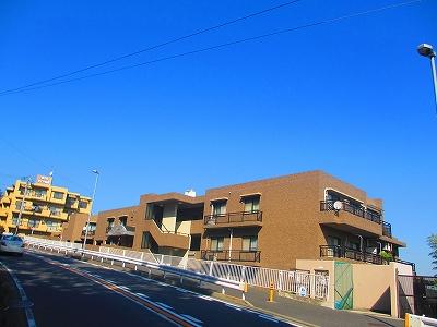 Local appearance photo. Local (11 May 2013) Shooting