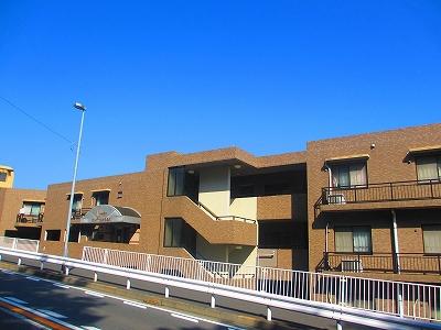 Local appearance photo. Local (11 May 2013) Shooting