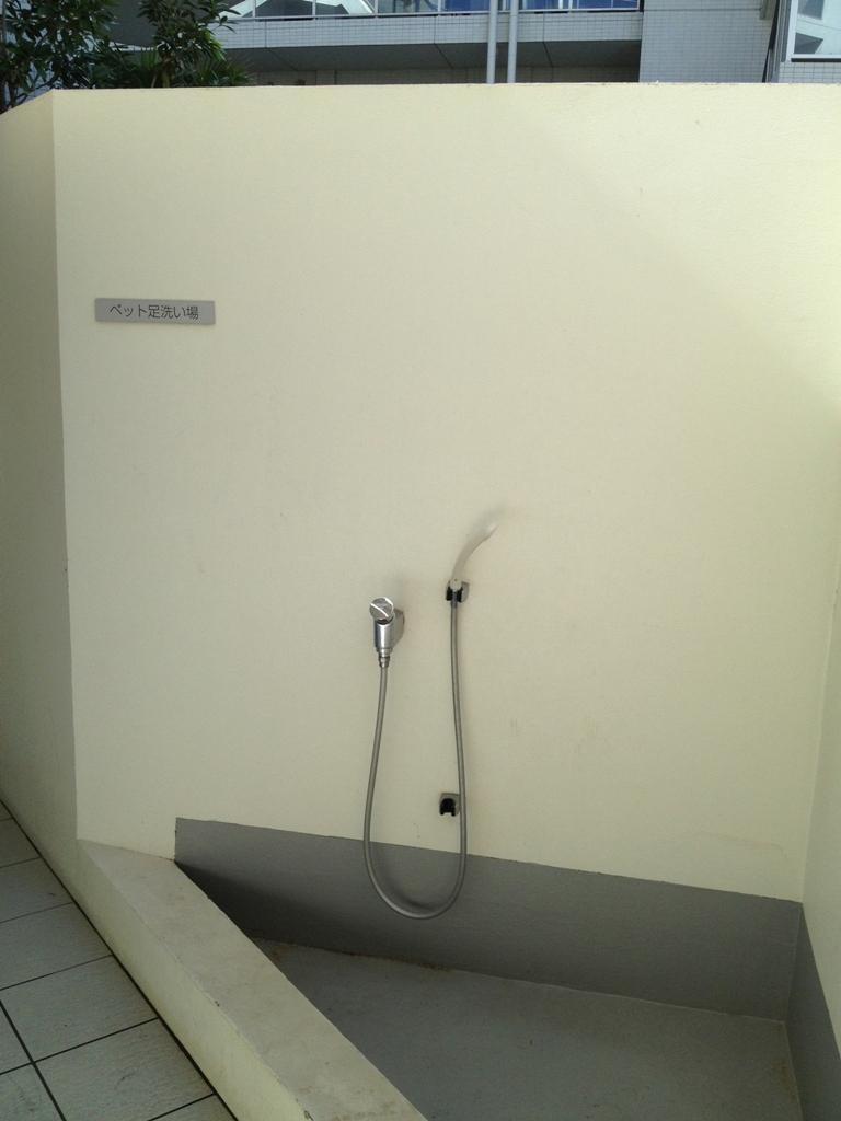 Other common areas. Common areas (pet foot washing place)