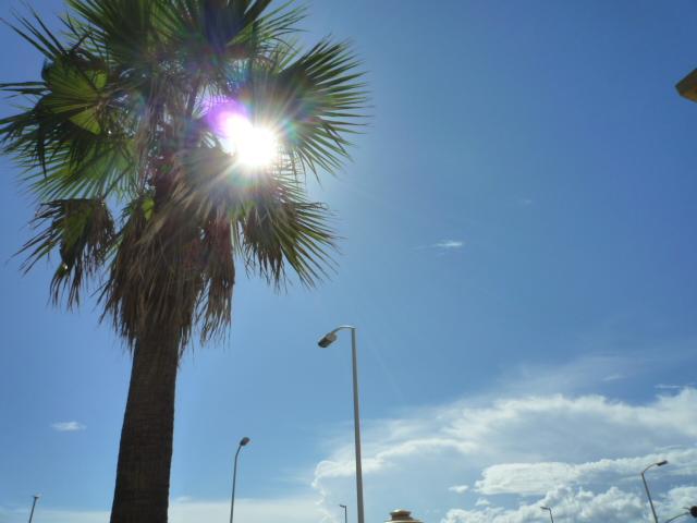 View photos from the dwelling unit. View from local (September 2013) Shooting