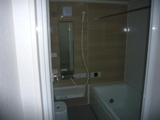 Bathroom. 2013 November shooting