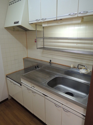 Kitchen. Kitchen (stove installation type)