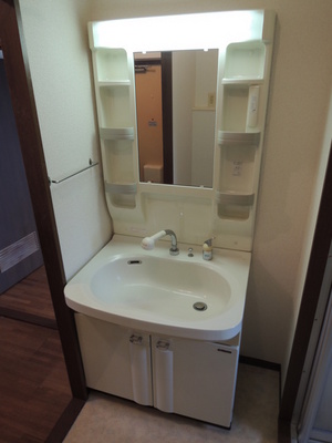 Washroom. Bathroom Vanity