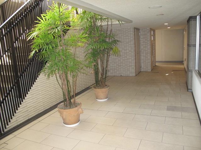 Other common areas. Common areas (approach to the elevator)
