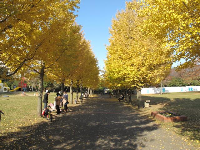 park. 350m until the white flag park