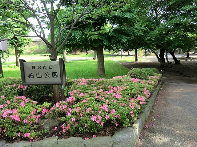 park. 1403m to Kashiwasan park