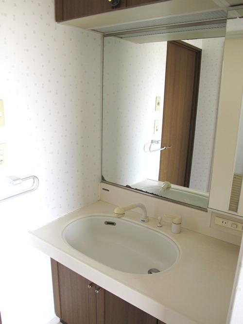 Wash basin, toilet. Indoor (April 2013) Shooting