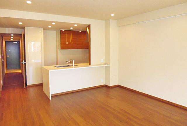 Living. Indoor (January 2013) Shooting