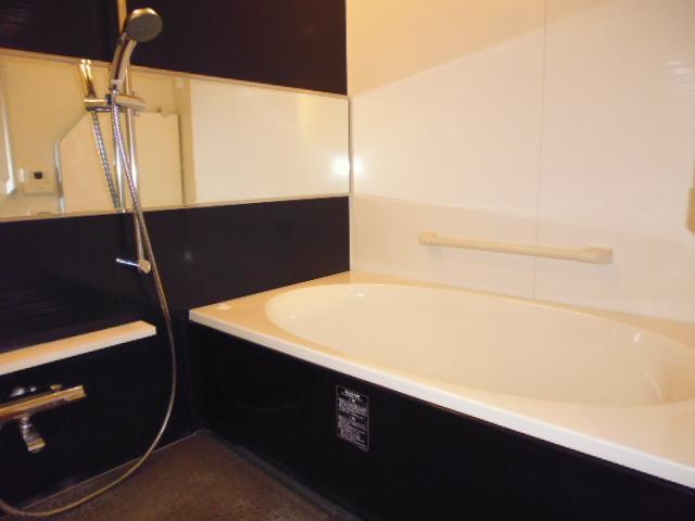 Bathroom. Indoor (10 May 2013) Shooting