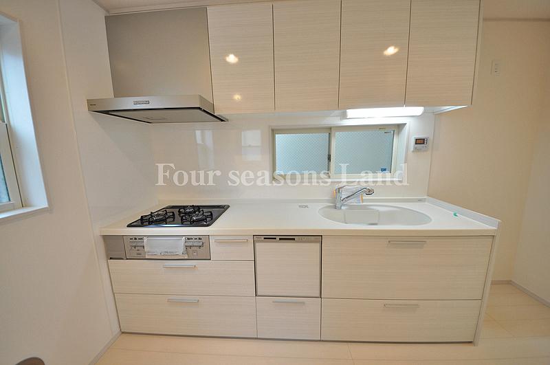 Kitchen. Indoor (12 May 2013) Shooting