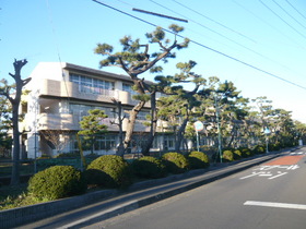 Primary school. Tsujido 600m up to elementary school (elementary school)