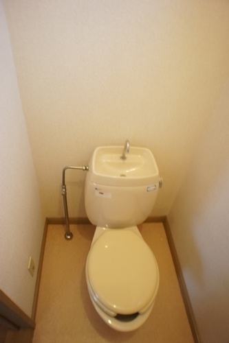 Toilet. Toilet