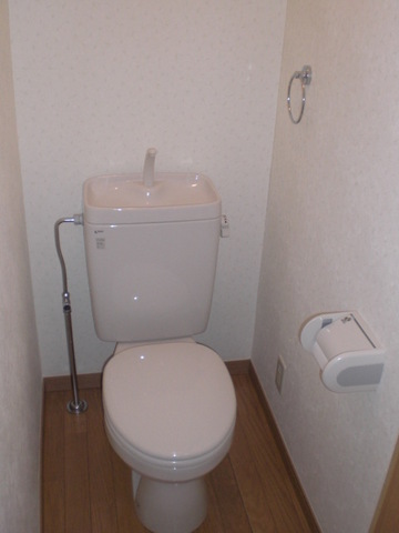 Other room space. Flush toilet