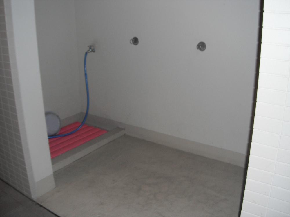 Other. Pet foot washing place