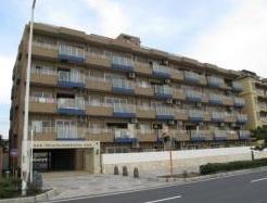 Local appearance photo. Local (11 May 2013) Shooting