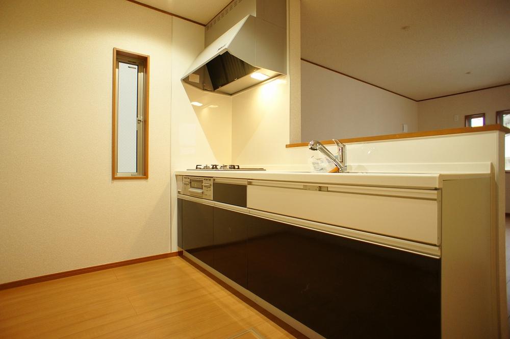 Kitchen. Indoor (12 May 2013) Shooting, This is a system kitchen water purifier integrated faucet.