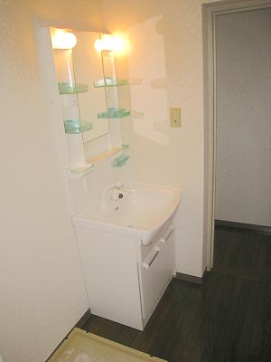 Washroom. Shampoo dresser