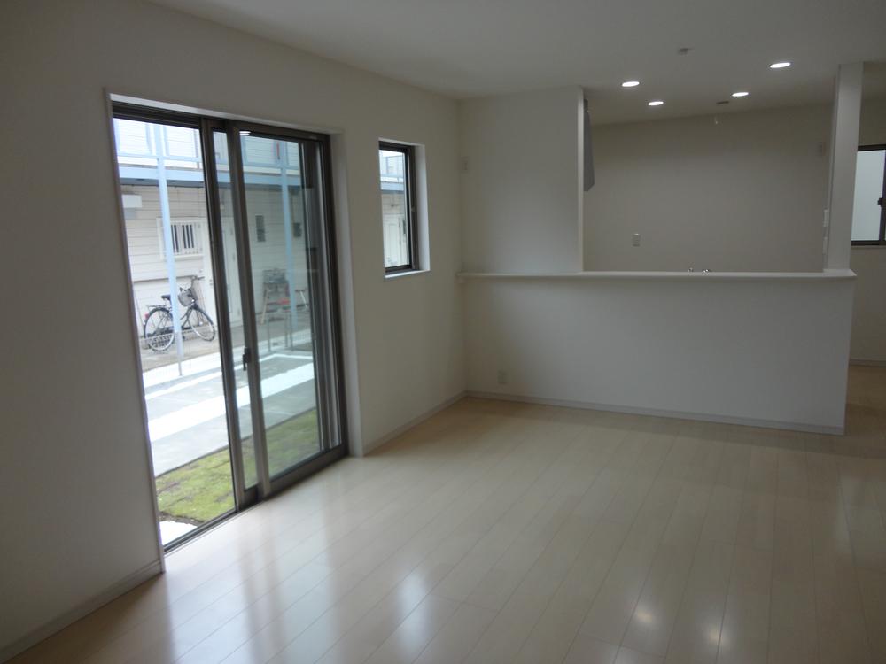 Other introspection. Local (10 May 2013) Shooting