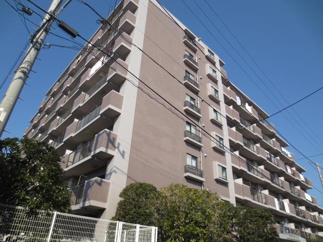 Local appearance photo. Local (August 2013) Shooting