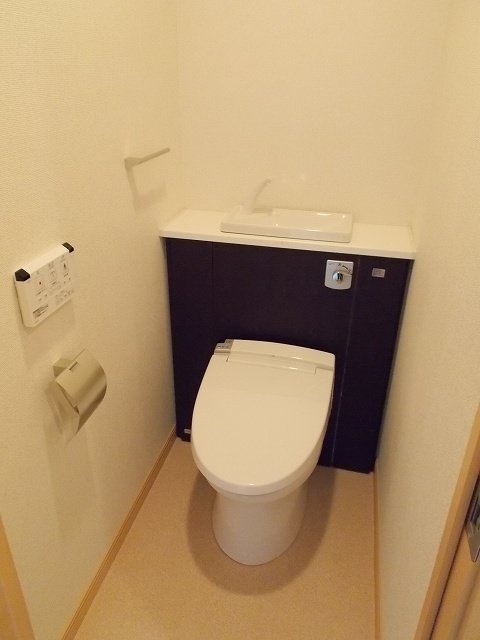 Toilet. The same type photo