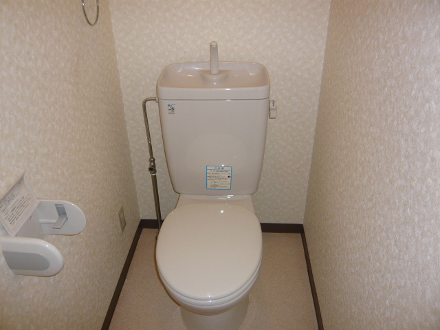 Toilet. Toilet floating cleanliness