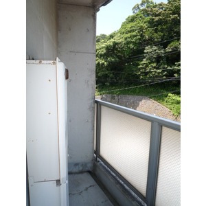 Balcony. Balconies