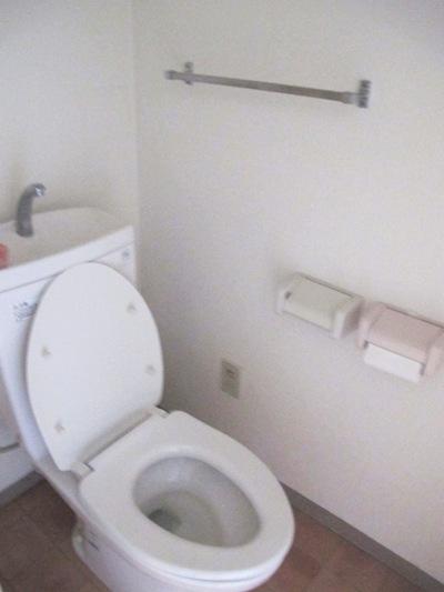 Toilet. Indoor (10 May 2013) Shooting