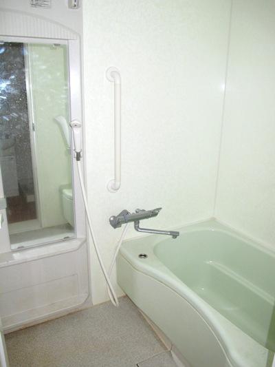 Bathroom. Indoor (10 May 2013) Shooting