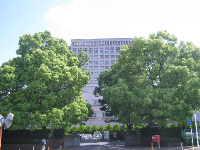 University ・ Junior college. Nihon University (University ・ 810m up to junior college)